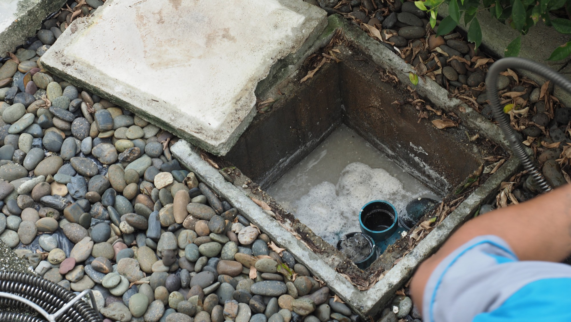 drain clogs